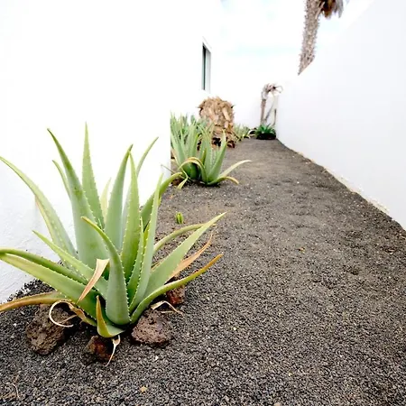 Bayside Kalendra Rofe Un Retiro Escondido Junto Al Mar Tatil Evi Guatiza